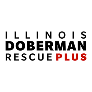 Illinois Doberman logo
